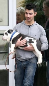 Hombre cargando a un perro