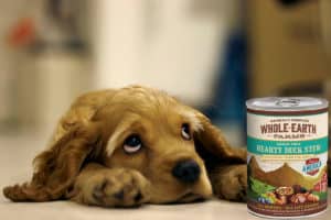 Mejores comidas húmedas para perros