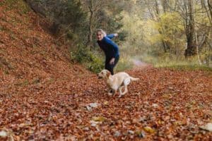 campo lleno de hojas secas y mujer y perro jugando